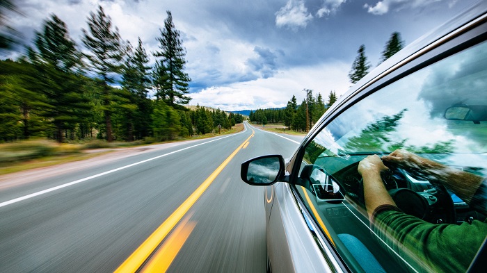 Driving Behind The Pine Curtain